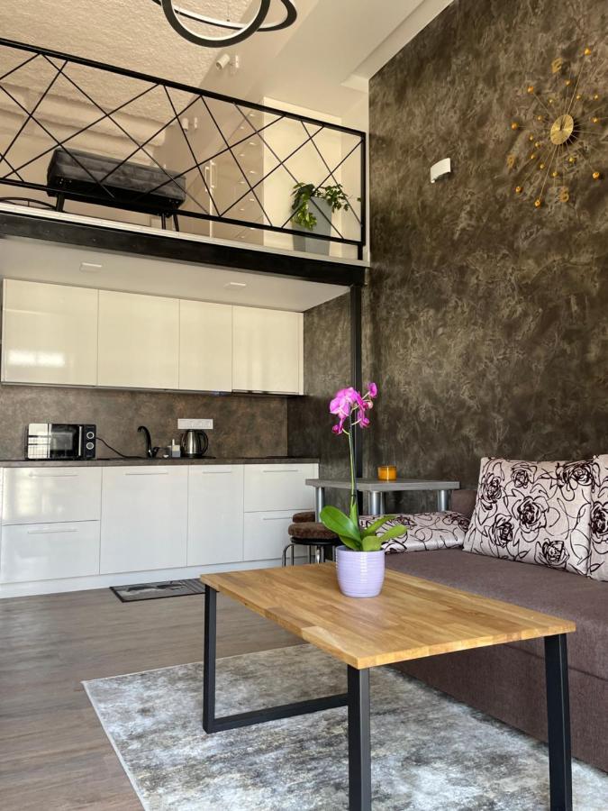Radio City Loft Kaunas Esterno foto